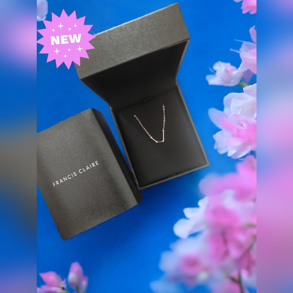 $1459 Francis Claire moissanite Necklace zodiac with certificate jewelry